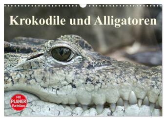 Krokodile und Alligatoren (Wandkalender 2024 DIN A3 quer), CALVENDO Monatskalender