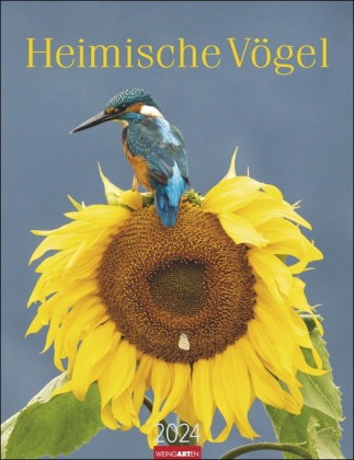 Heimische Vögel Kalender 2024. Wandkalender mit 12 Fotografien heimischer Vogelarten. Tier-Kalender