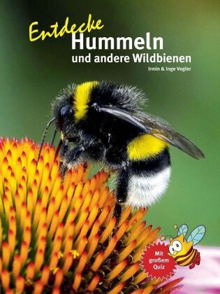 Entdecke Hummeln und andere Wildbienen
