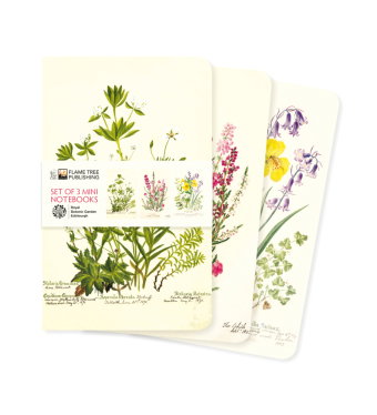 Dreier Set Mini-Notizbücher: Royal Botanic Garden Edinburgh