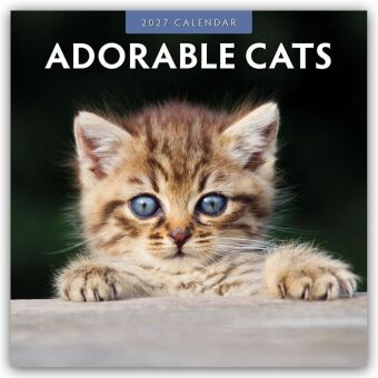 Adorable Cats - Liebenswerte Katzen 2027 - 16-Monatskalender