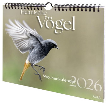 Heimische Vögel 2026