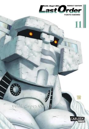 Battle Angel Alita - Last Order - Perfect Edition. Bd.11