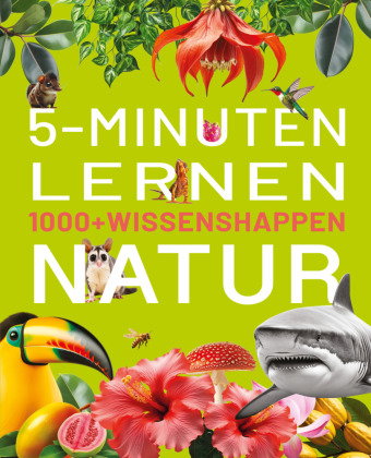 5-Minuten-Lernen Natur