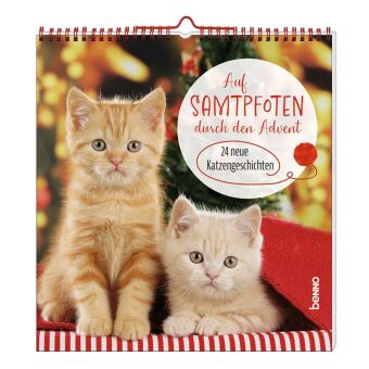 Auf Samtpfoten durch den Advent
