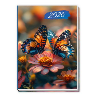 Trötsch Taschenkalender A7 Schmetterling 2026