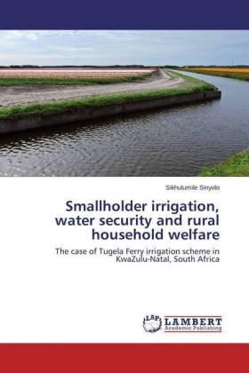 Smallholder irrigation, water security and rural household welfare