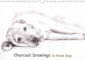 Charcoal Drawings (Wandkalender 2018 DIN A4 quer)