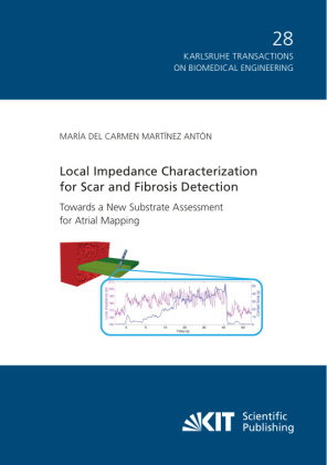 Local Impedance Characterization for Scar and Fibrosis Detection: Towards a New Substrate Assessment