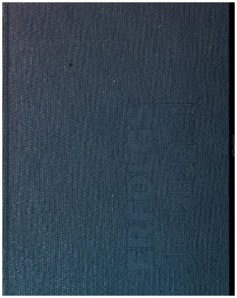 Erfolgs-Journal