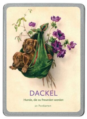 Dackel Postkarten VE 20