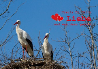 Liebe... und was dazu gehört (Posterbuch DIN A2 quer)