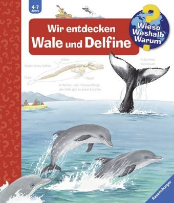 Wieso? Weshalb? Warum? Band 41 - Wir entdecken Wale und Delfine