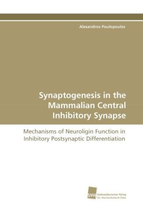 Synaptogenesis in the Mammalian Central Inhibitory Synapse