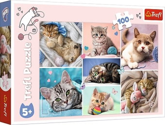 Katzenwelt (Kinderpuzzle)