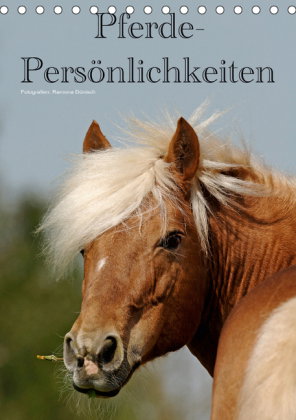 Pferde-Persönlichkeiten - ausdrucksstarke Gesichter verschiedener Pferderassen (Tischkalender 2019 D