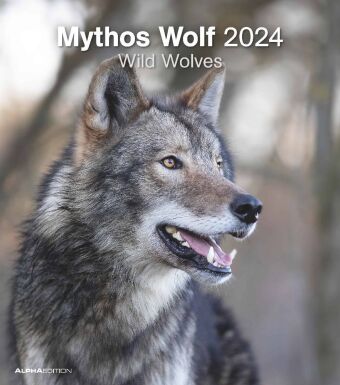 Mythos Wolf 2024 - Foto-Kalender - Wand-Kalender - 30x34