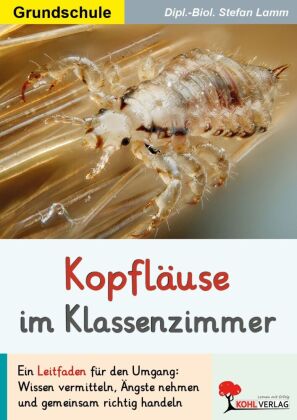 Kopfläuse im Klassenzimmer