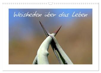 Weisheiten über das Leben (Wandkalender 2024 DIN A3 quer), CALVENDO Monatskalender