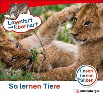 Lesestart mit Eberhart - Sonderheft: So lernen Tiere