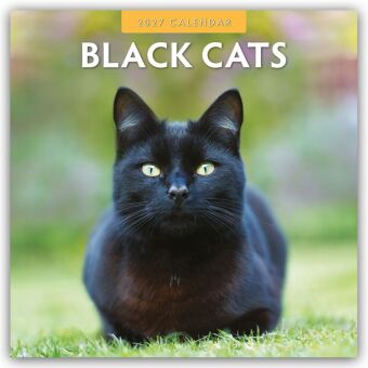 Black Cats - Schwarze Katzen 2027 - 16-Monatskalender