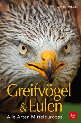 Greifvögel & Eulen