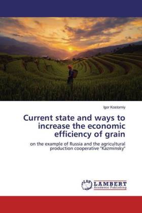 Current state and ways to increase the economic efficiency of grain