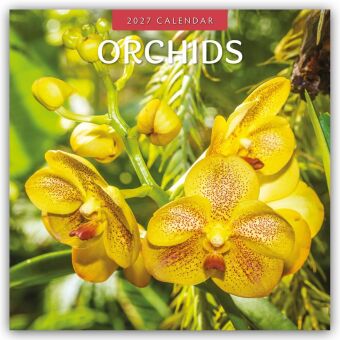Orchids - Orchideen 2027 - 16-Monatskalender