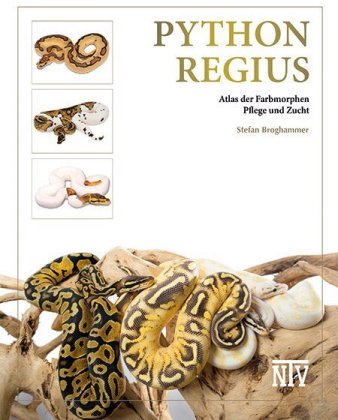 Python regius
