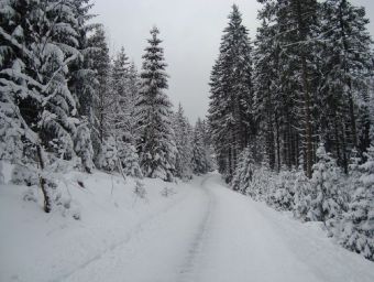 Winterberg - 500 Teile (Puzzle)