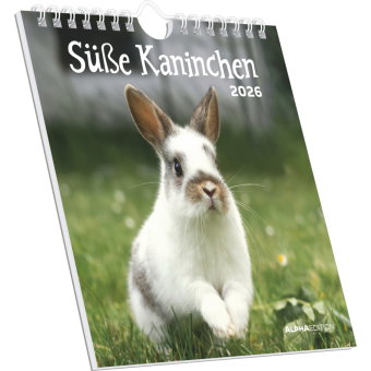 Alpha Edition - Süße Kaninchen 2026 - Postkartenkalender 16×17 cm mit 53 zauberhaften Kaninchenmotiv
