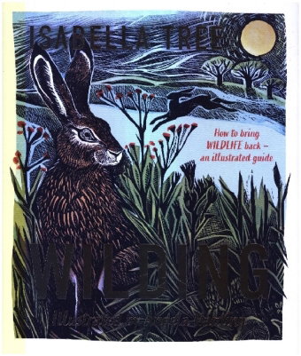 Wilding: How to Bring Wildlife Back - an Illustrated Guide