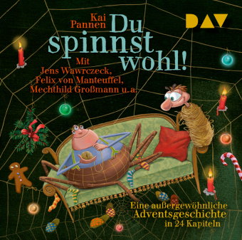 Du spinnst wohl! Eine außergewöhnliche Adventsgeschichte in 24 Kapiteln, 2 Audio-CD