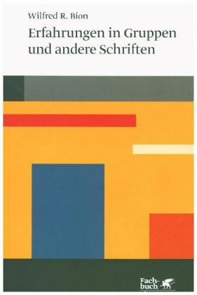 Erfahrungen in Gruppen (Konzepte der Humanwissenschaften)