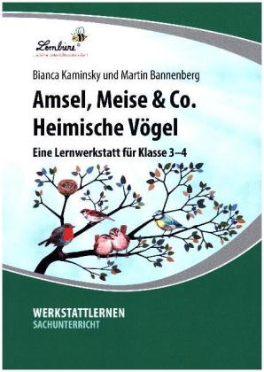 Amsel, Meise & Co: Heimische Vögel
