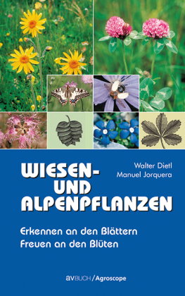 Wiesen- und Alpenpflanzen