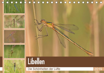 Libellen - Die Schönheiten der Lüfte (Tischkalender 2019 DIN A5 quer)