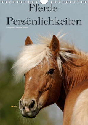 Pferde-Persönlichkeiten - ausdrucksstarke Gesichter verschiedener Pferderassen (Wandkalender 2019 DI