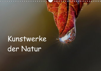 Kunstwerke der Natur (Wandkalender 2018 DIN A3 quer)