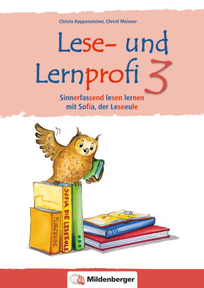 Lese- und Lernprofi 3 - Arbeitsheft - silbierte Ausgabe