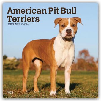 American Pit Bull Terriers 2027 - 16-Monatskalender