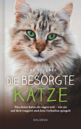 Die besorgte Katze. Was Ihre Katze Ihnen sagen möchte. Warum Schnurren nicht immer Wohlgefühl bedeut