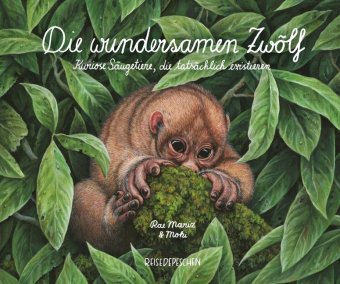 Die wundersamen Zwölf