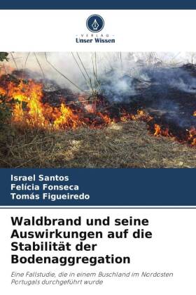 Waldbrand und seine Auswirkungen auf die Stabilität der Bodenaggregation