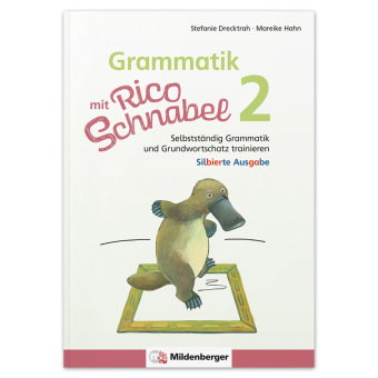 Grammatik mit Rico Schnabel, Klasse 2 - silbierte Ausgabe