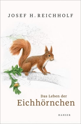Das Leben der Eichhörnchen