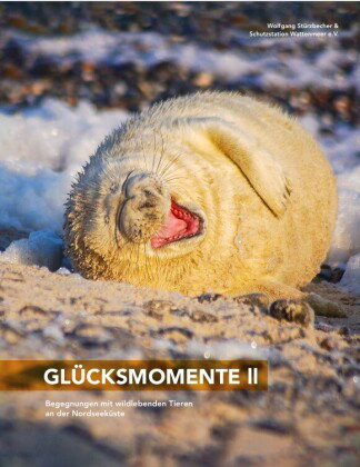 Glücksmomente II
