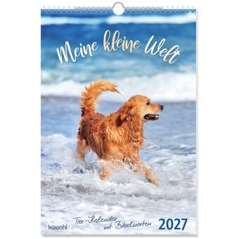 Meine kleine Welt 2027