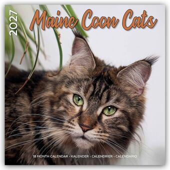 Maine Coon Cats - Main Coon Katzen 2027 - 18-Monatskalender - Original Plenty Gifts-Kalender [Mehrsp