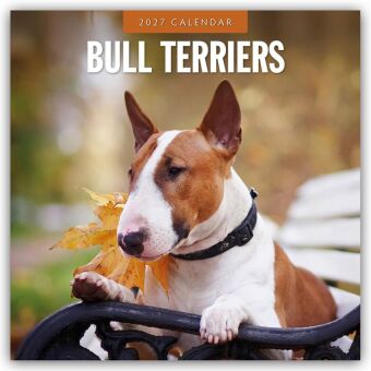 Bull Terriers - Bullterrier 2027 - 16-Monatskalender